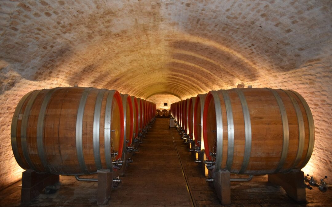 Wijnbars in Rijeka: waar drink je de beste lokale wijn?