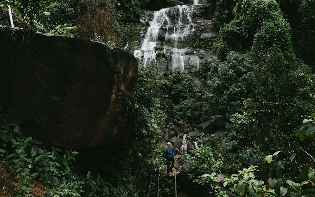 De beste excursies voor natuurliefhebbers